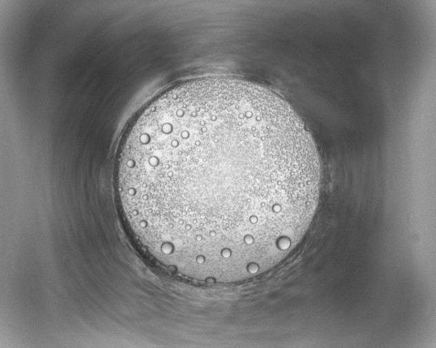 X0000060760004200512011526