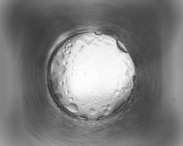 X0000060760006200512011526