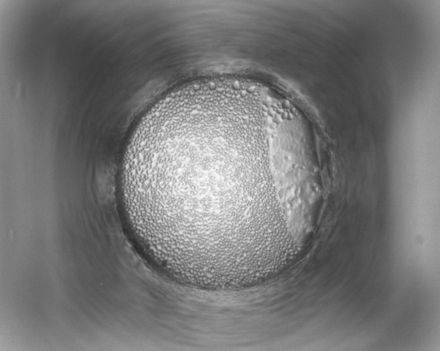 X0000060760010200512011526