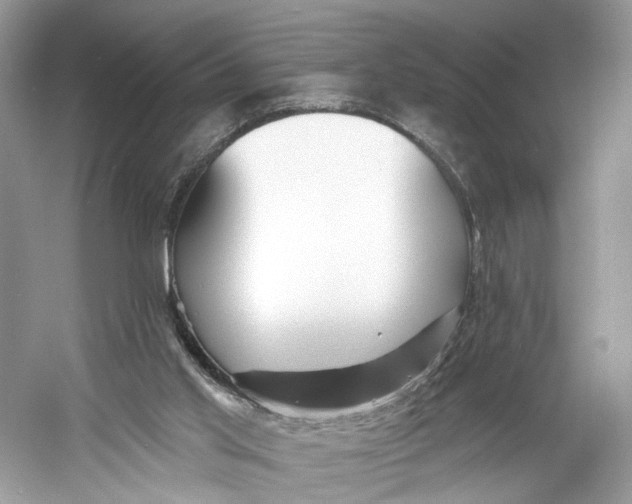 X0000060760013200512011526