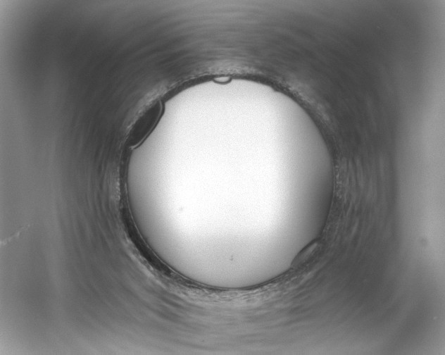 X0000060760015200512011526