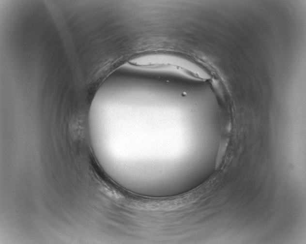 X0000060760017200512011526