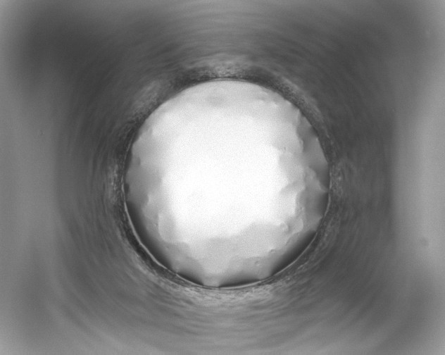 X0000060760018200512011526