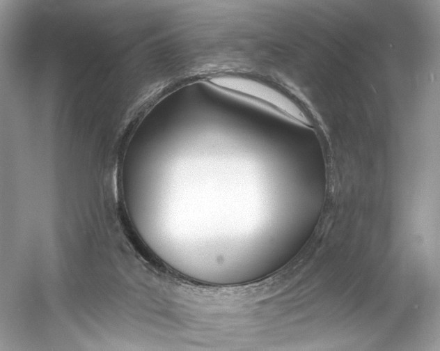 X0000060760019200512011526