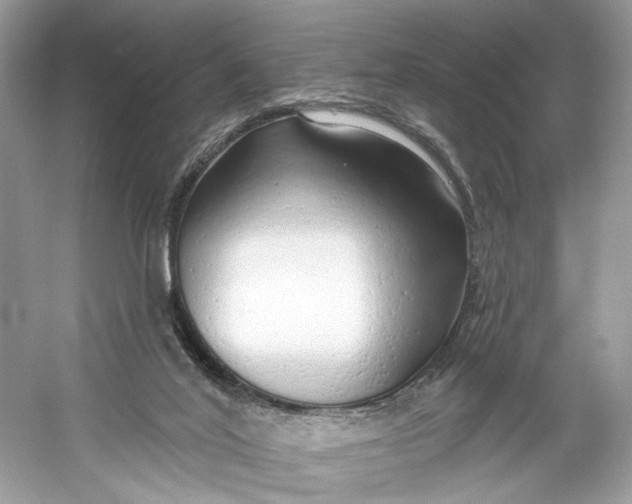 X0000060760020200512011526