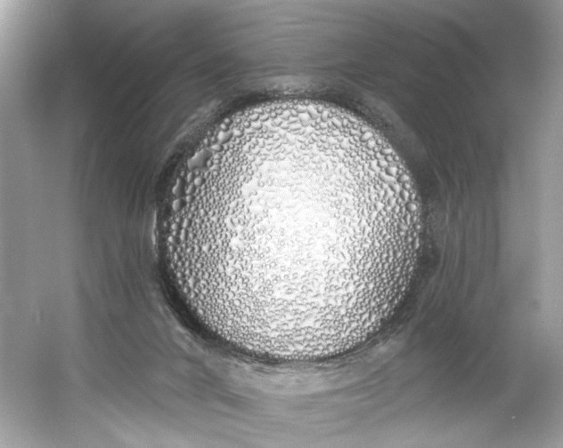 X0000060760024200512011526