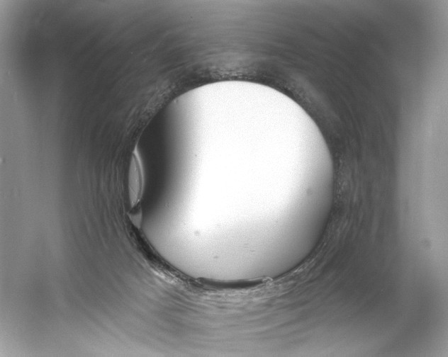X0000060760025200512011526