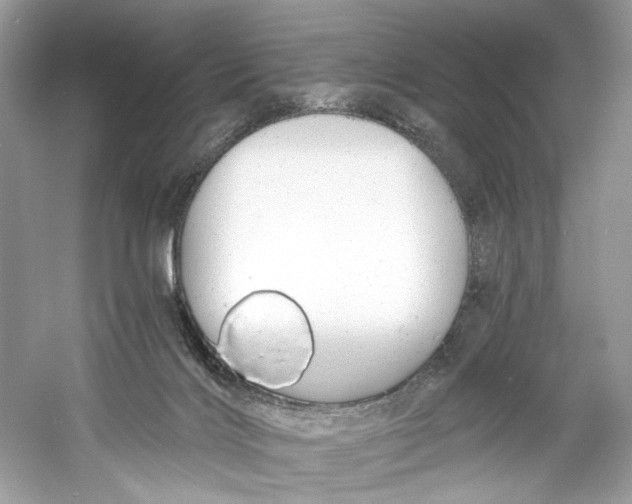 X0000060760028200512011526