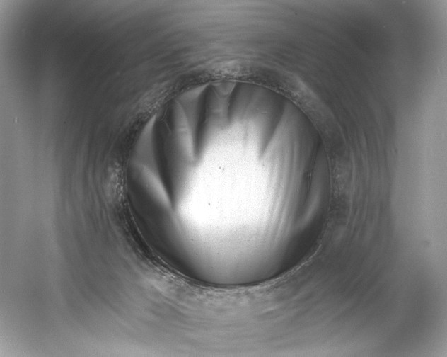 X0000060760029200512011526