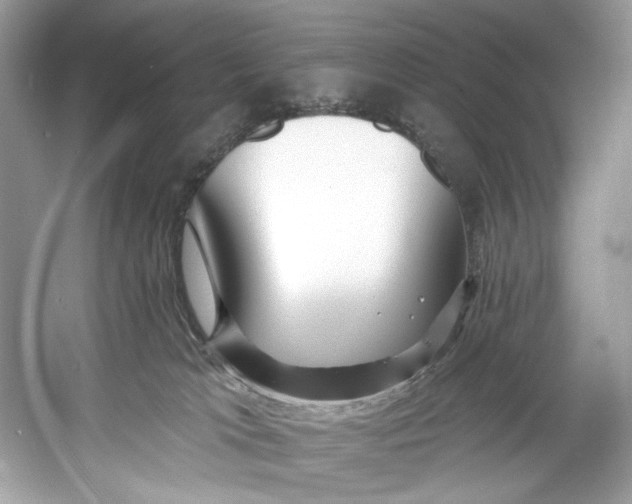 X0000060760037200512011526