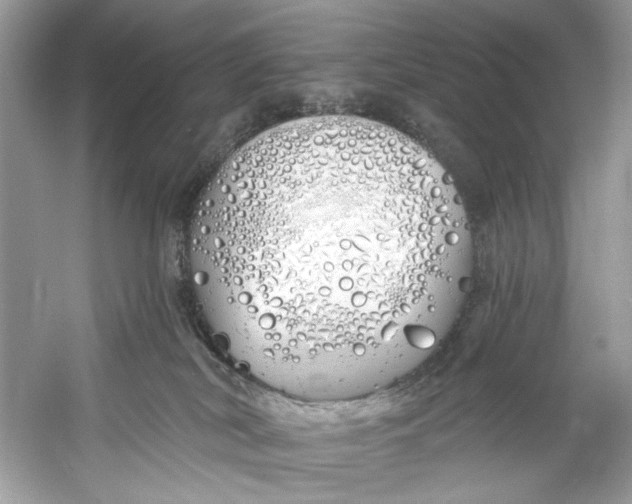 X0000060760038200512011526