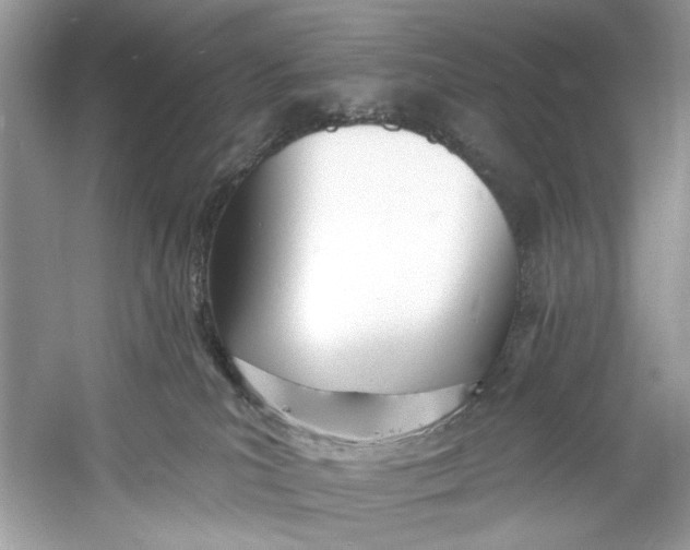 X0000060760039200512011525
