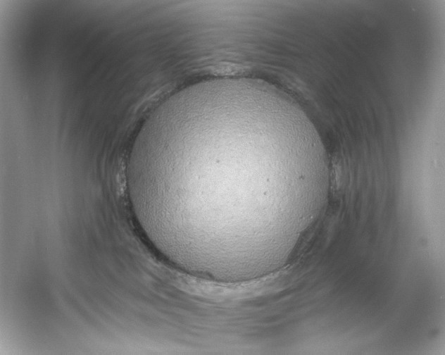 X0000060760043200512011525