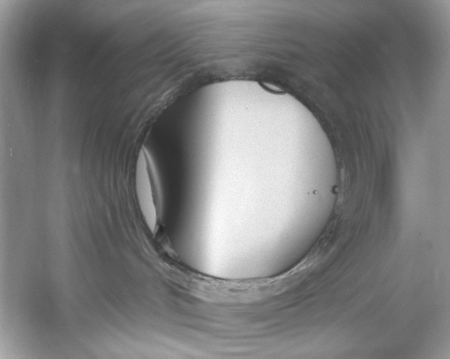 X0000060760048200512011525