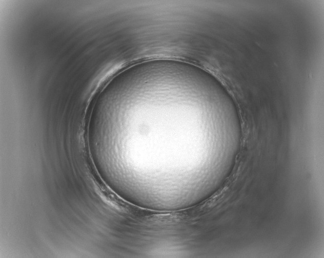 X0000060760050200512011525