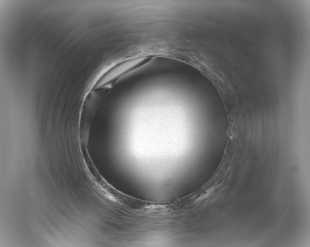 X0000060760052200512011525