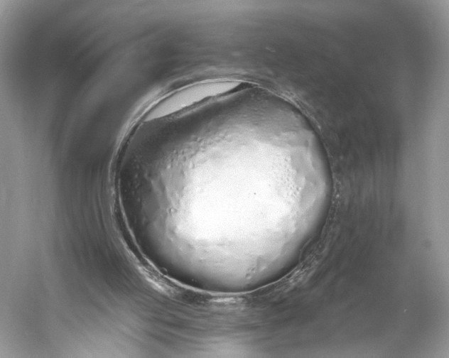 X0000060760053200512011525