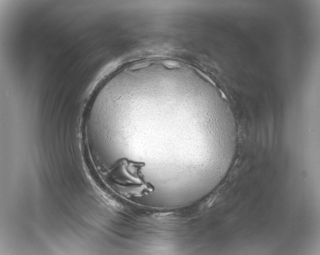 X0000060760054200512011525
