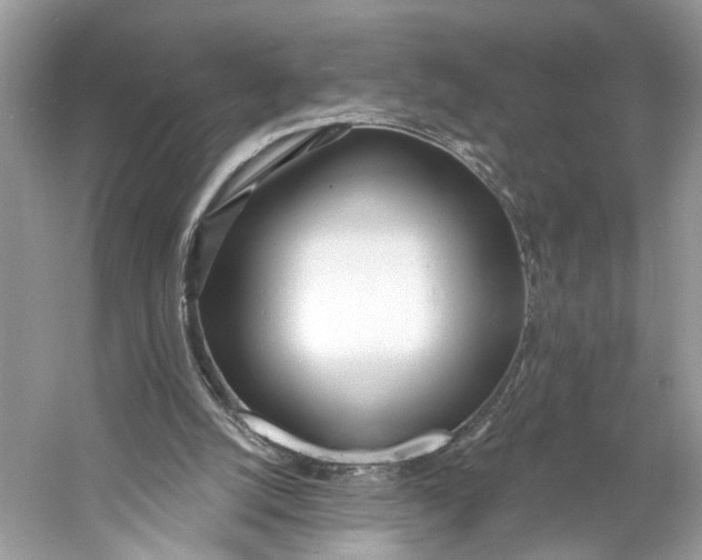 X0000060760056200512011525