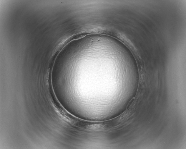 X0000060760058200512011525
