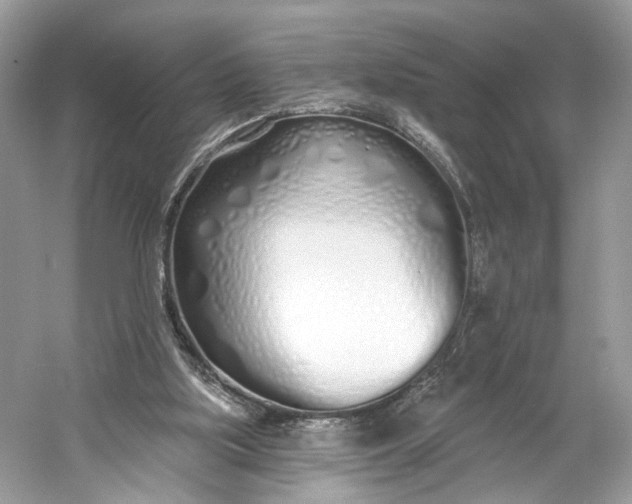 X0000060760059200512011525