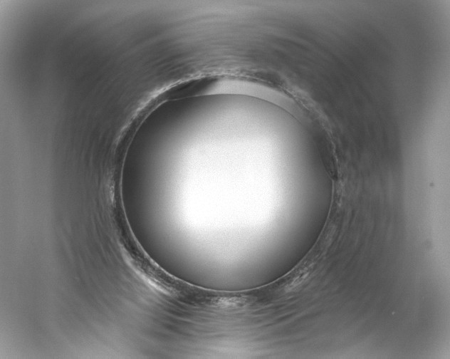 X0000060760060200512011525