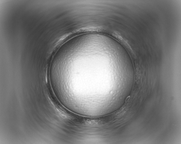 X0000060760062200512011525