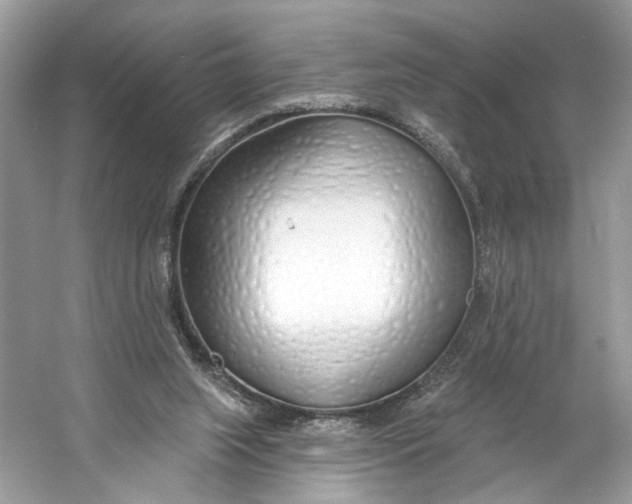 X0000060760063200512011525