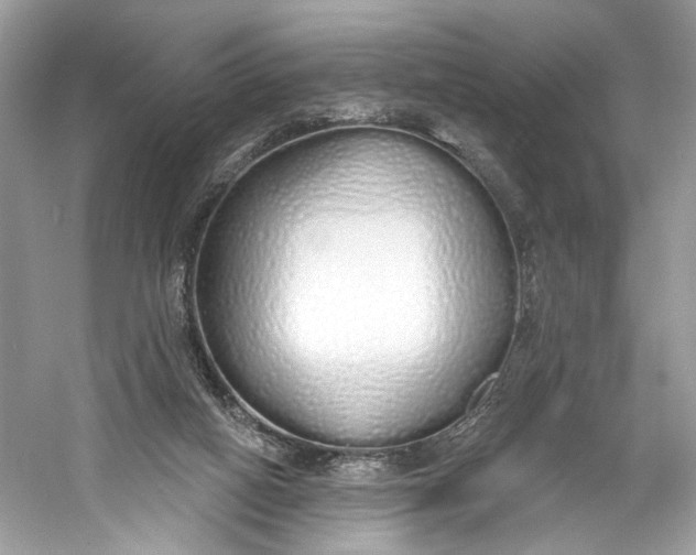 X0000060760066200512011525