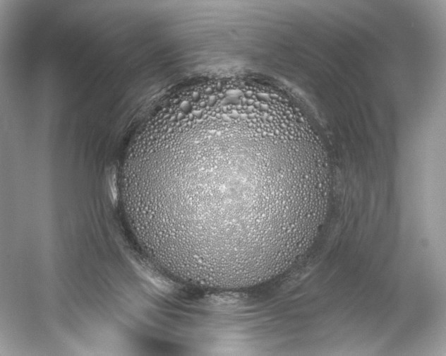 X0000060760069200512011525