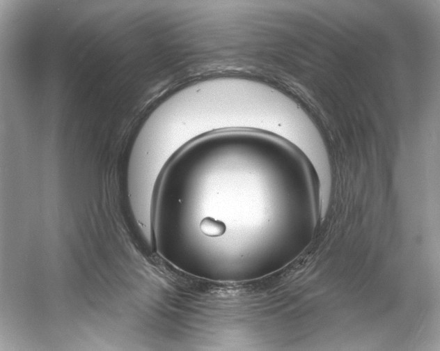 X0000060760071200512011525