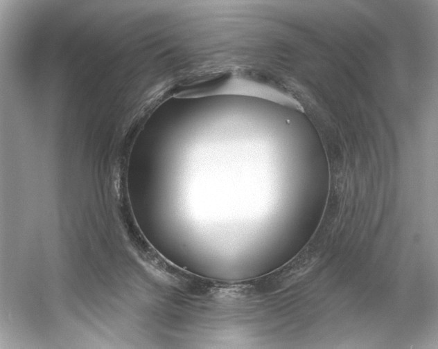 X0000060760072200512011525