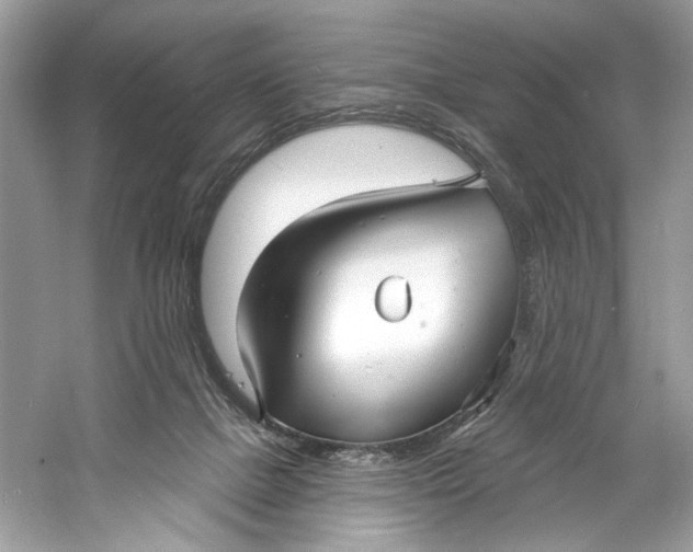X0000060760073200512011525