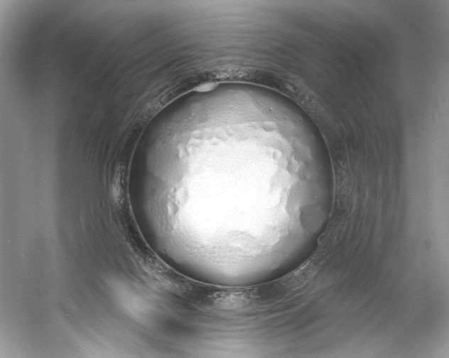 X0000060760074200512011525