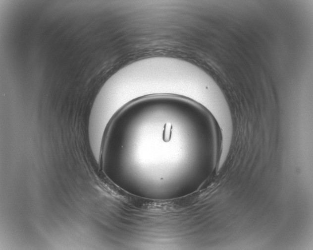 X0000060760077200512011525