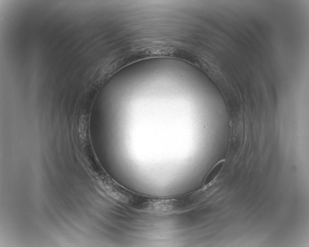 X0000060760078200512011525