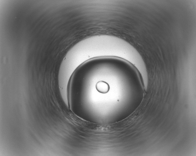 X0000060760080200512011525