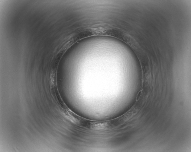 X0000060760081200512011525