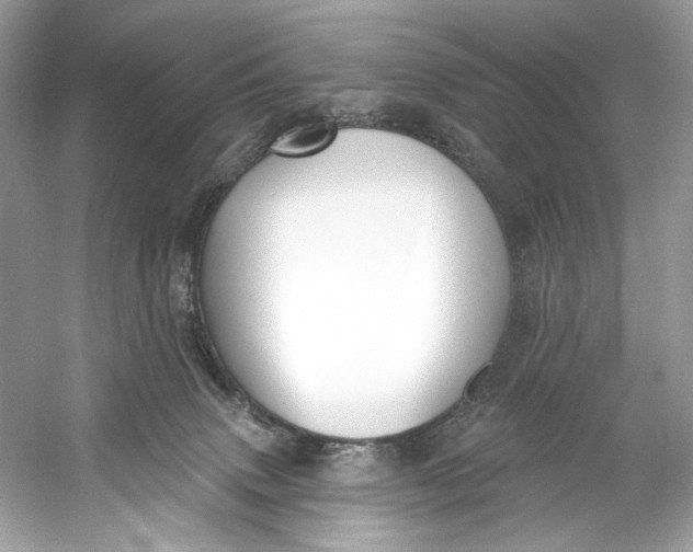 X0000060760083200512011525