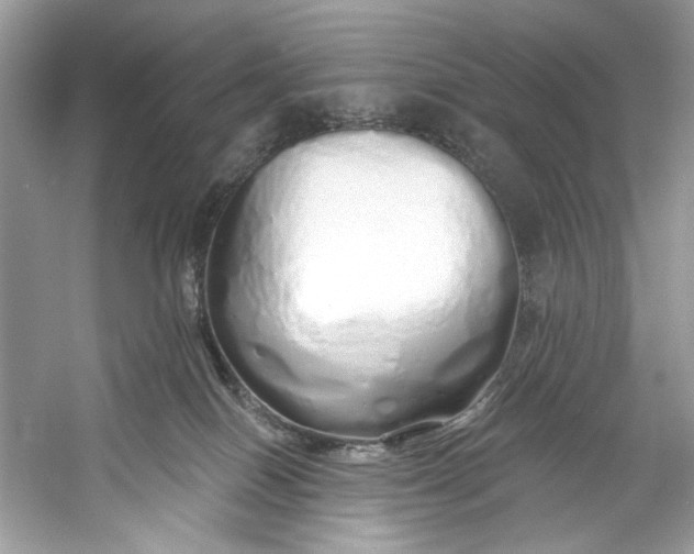 X0000060760086200512011525