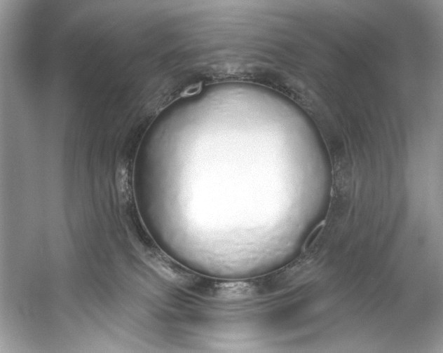 X0000060760087200512011525