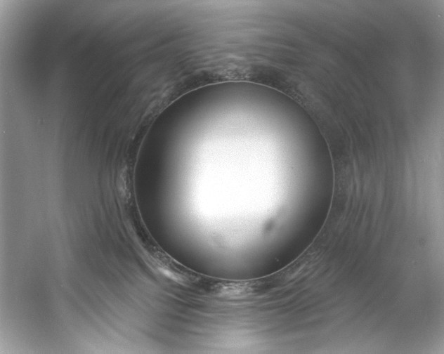 X0000060760088200512011525