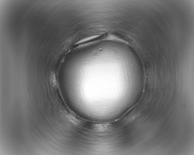 X0000060760089200512011525