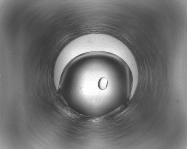 X0000060760092200512011525