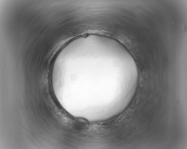 X0000060760098200512011524