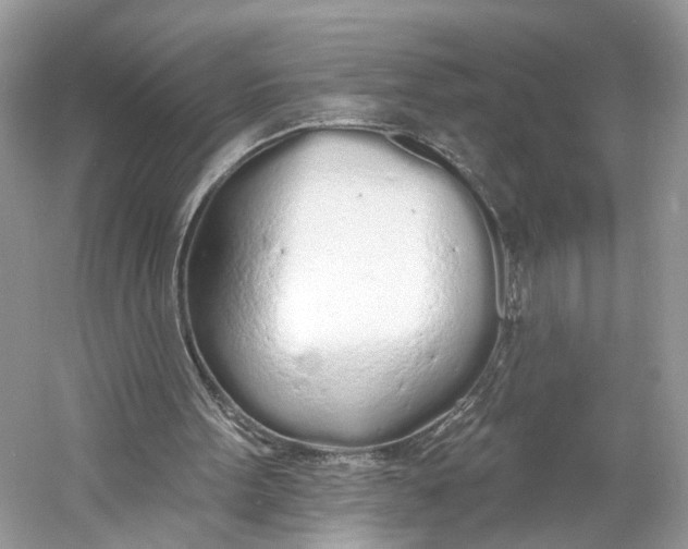 X0000060760099200512011524