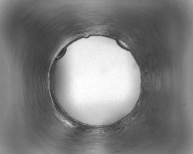 X0000060760100200512011524