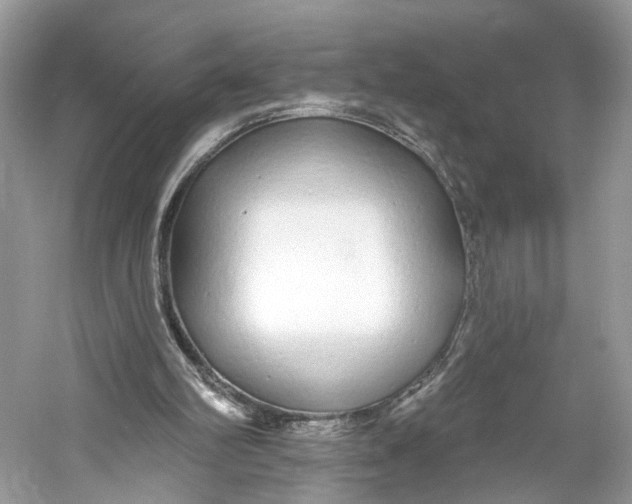 X0000060760102200512011524