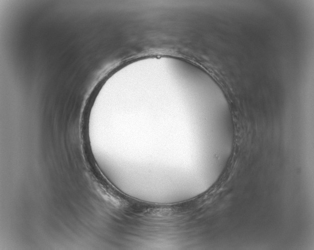 X0000060760104200512011524