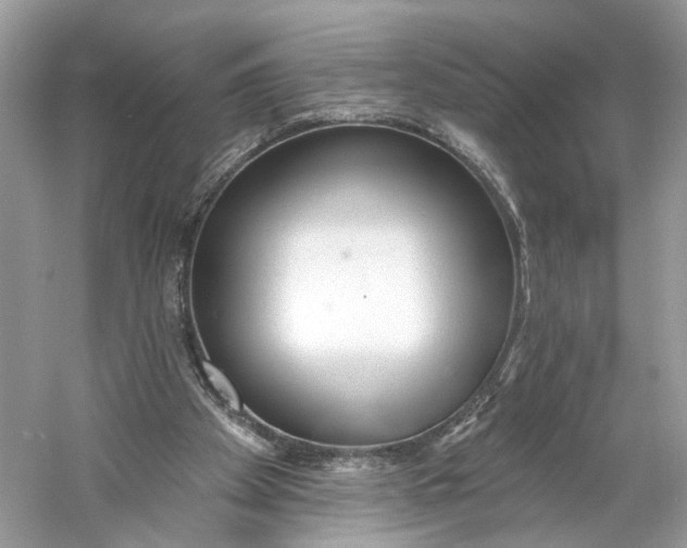 X0000060760105200512011524